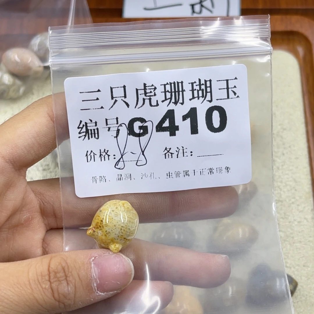 C***Q硅化珊瑚（珊瑚玉）未镶嵌h