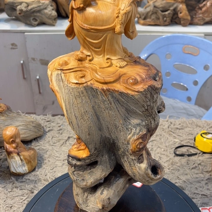 柏木太行崖柏乐乐