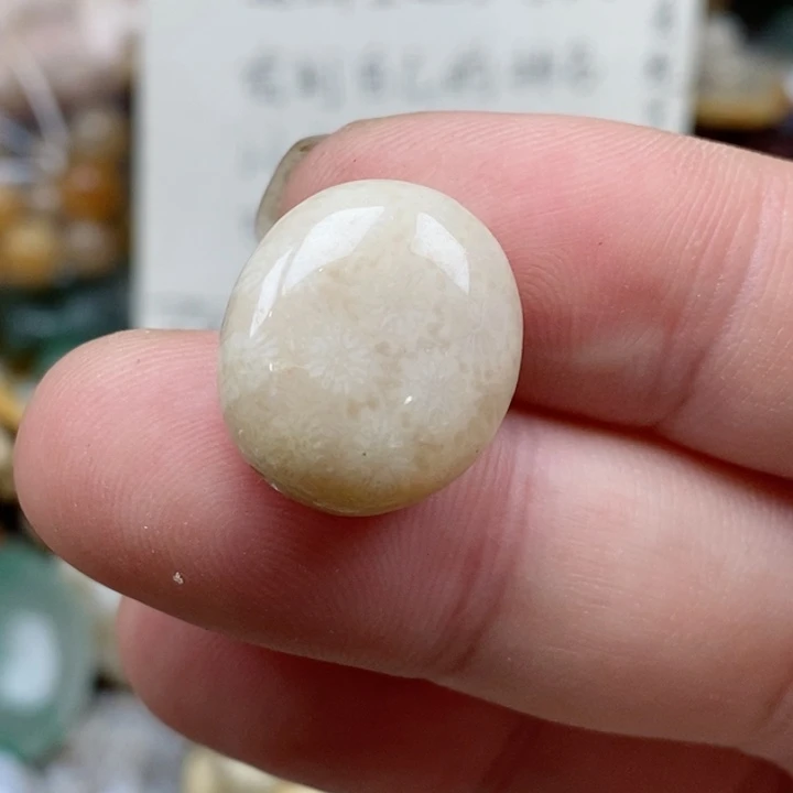 硅化珊瑚（珊瑚玉）未镶嵌颈饰佳*通孔 小