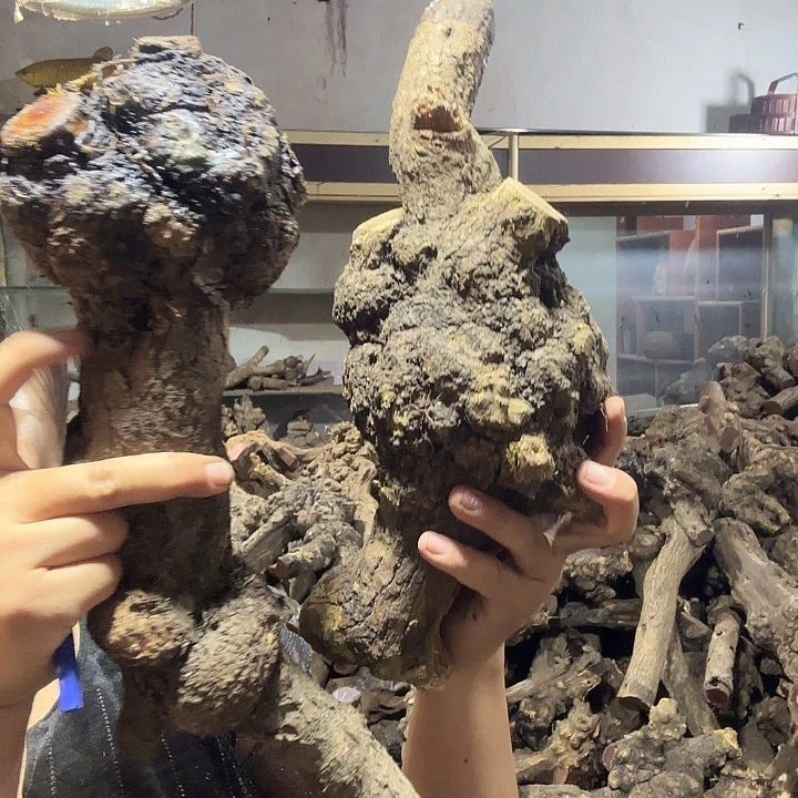 瀚***文火琉璃的故事是一个