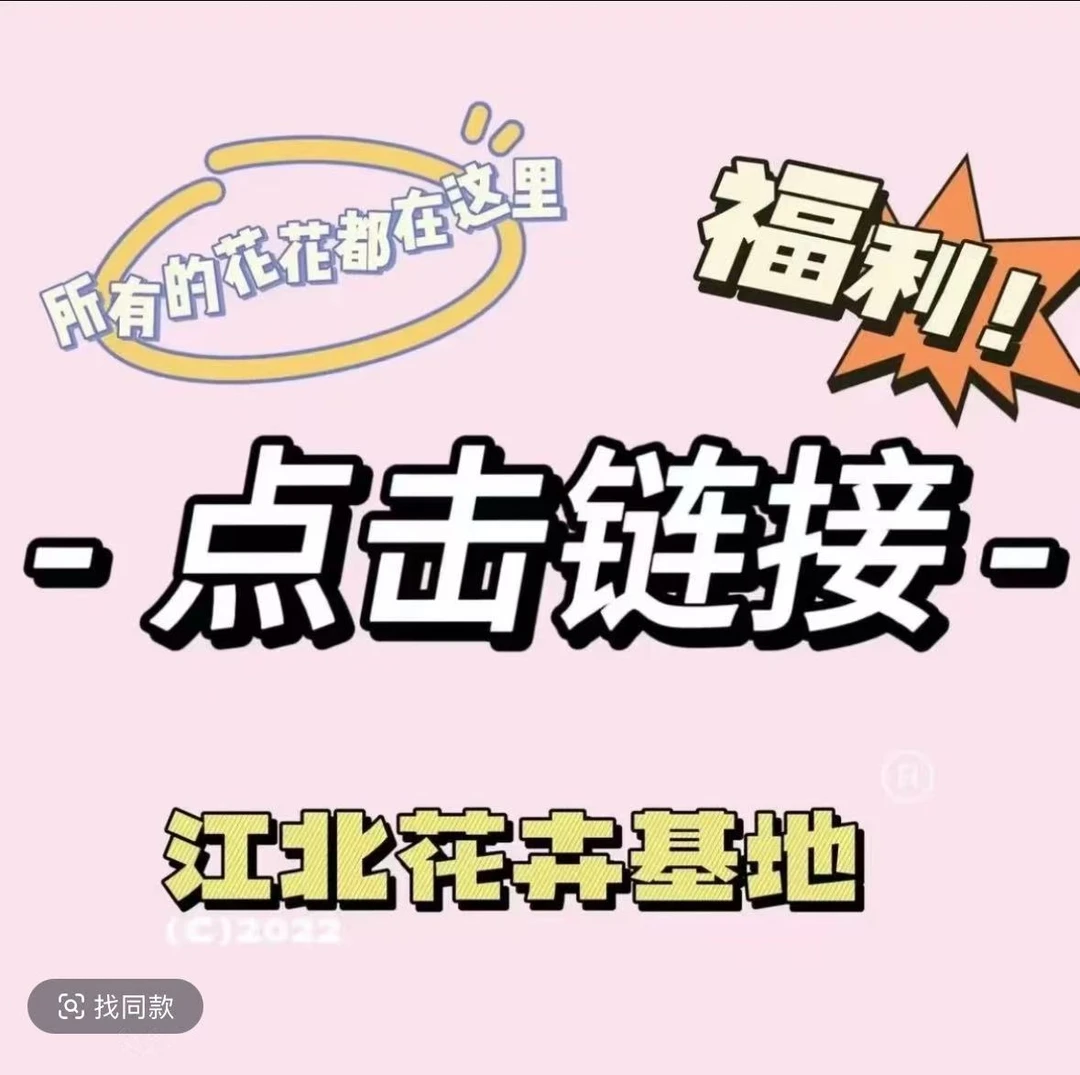 青蕊花卉小铺直播间一物一拍专用链接