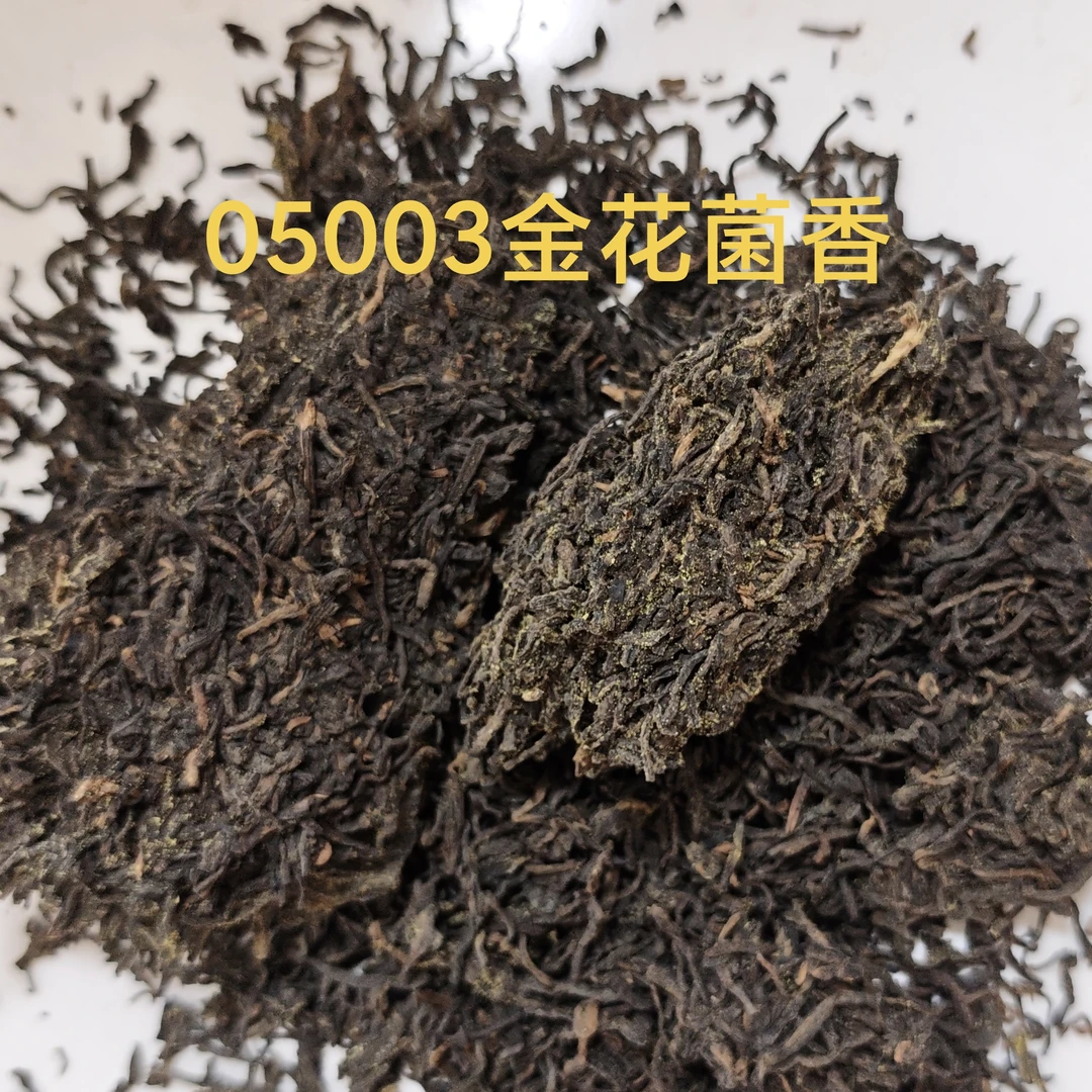 1500g 05003金花菌香 2005年六堡茶散茶