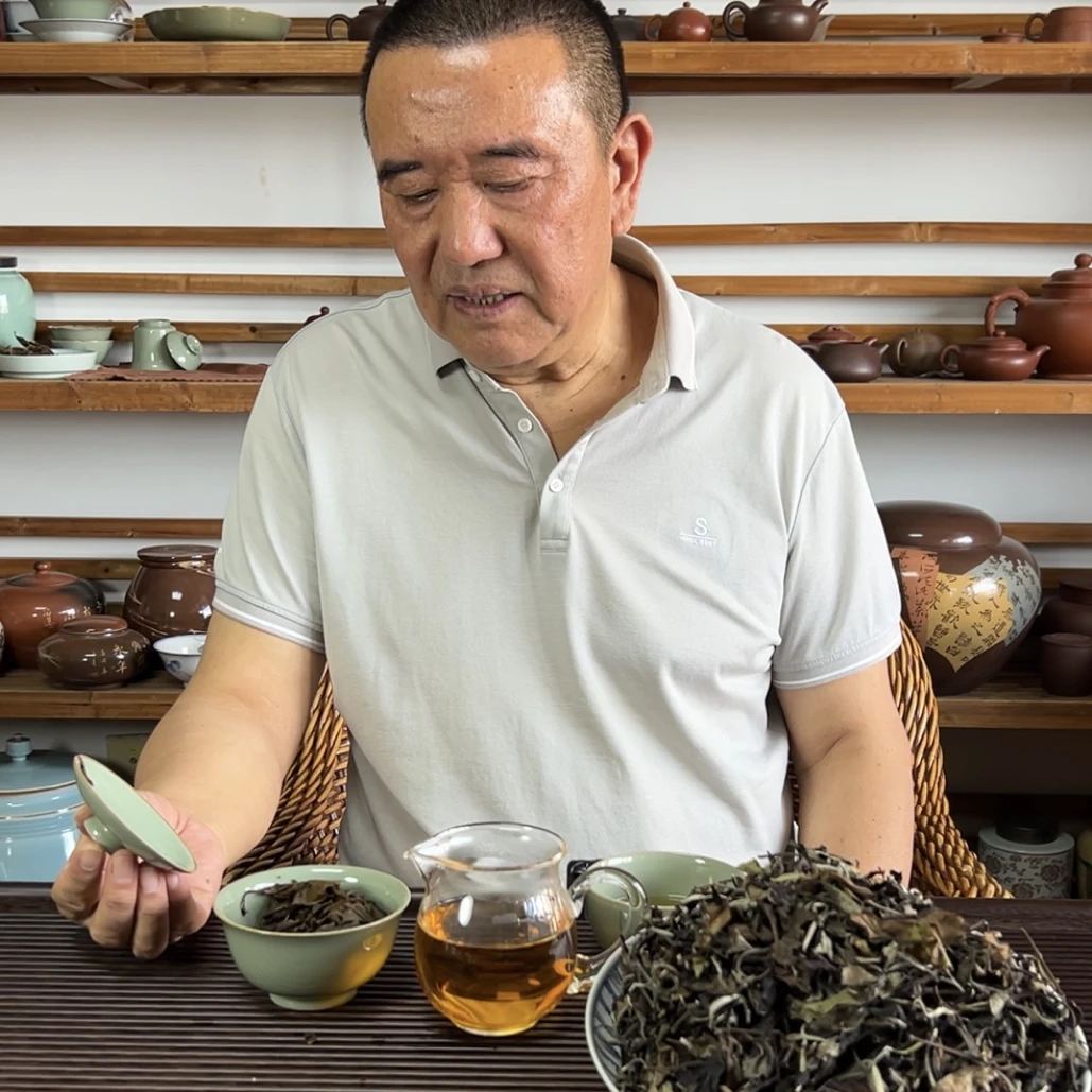 【云南·白茶】2022年贺开古茶园春茶制云南白茶散茶