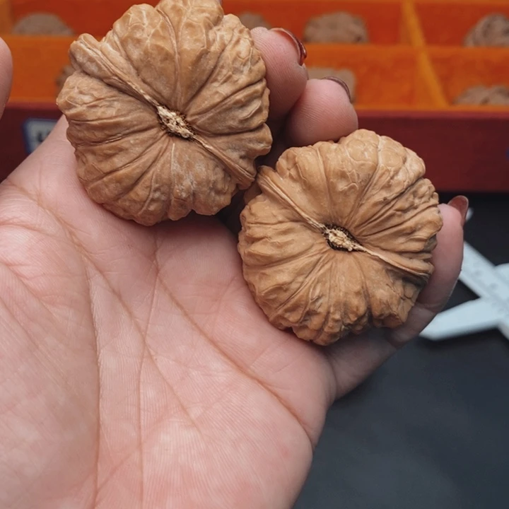 核桃南瓜墩44尺核桃
