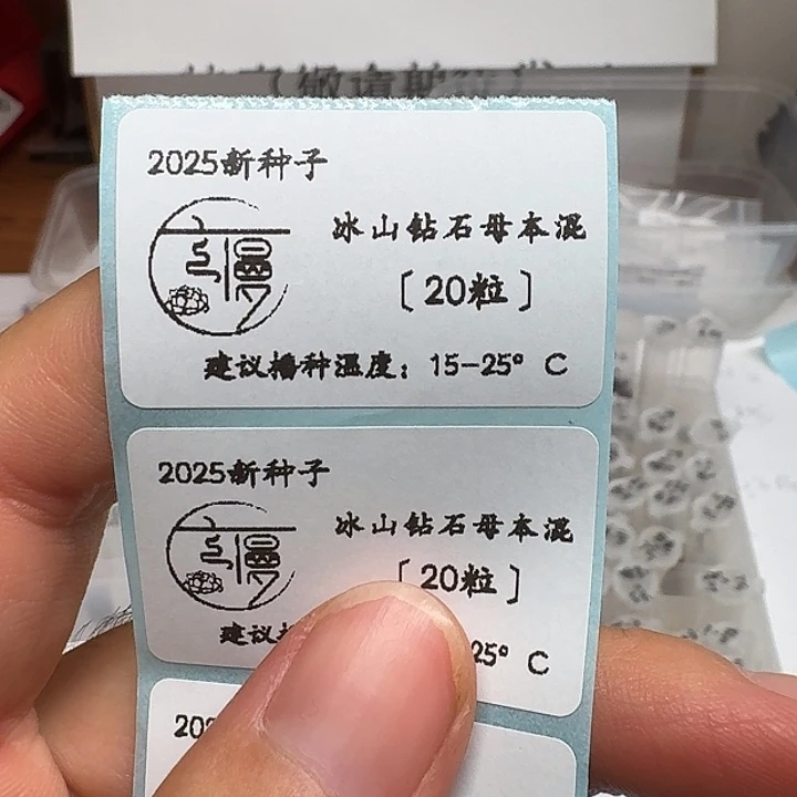 如图冰山钻石母本混合种子20粒送盒子土