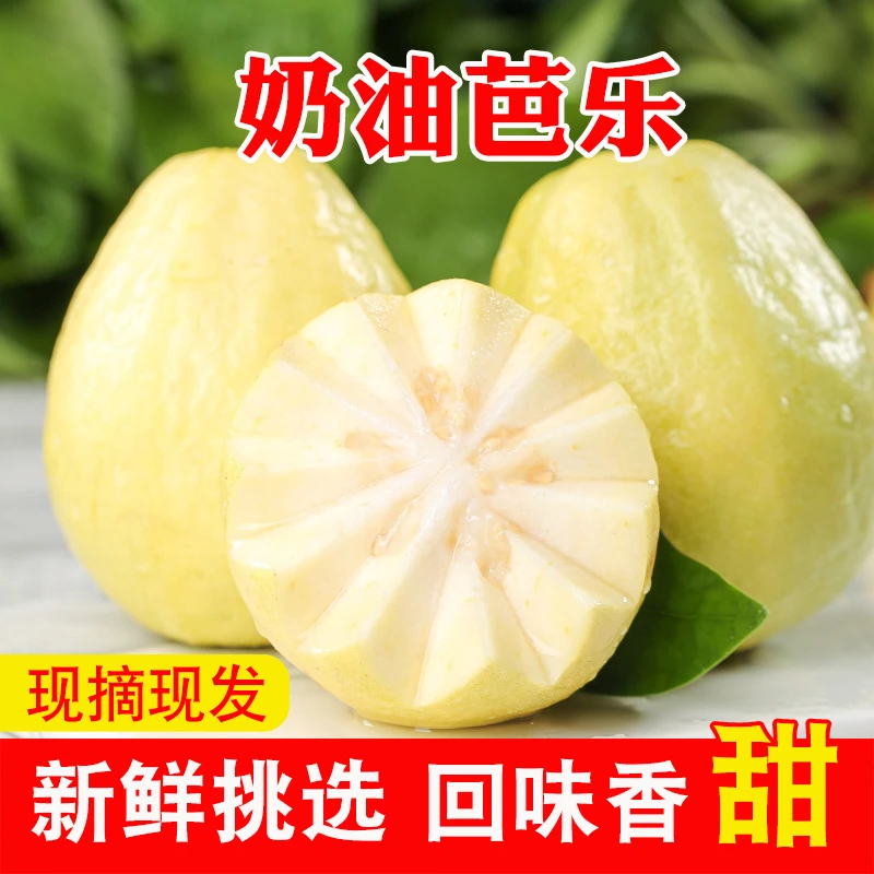 广西黄金奶油芭软糯香甜番石榴新鲜当季水果