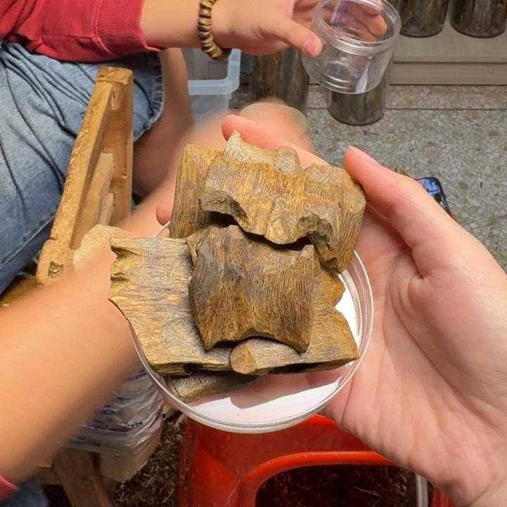 沉香碎屑沉香海南白棋块料52克