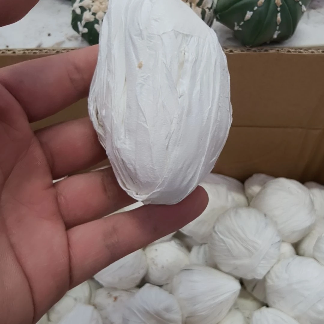 双头哈哈哈哈哈哈哈哈