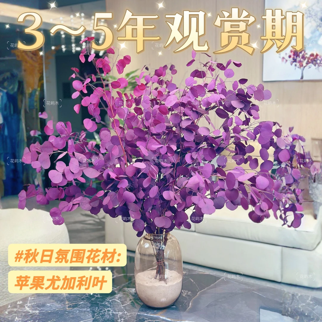 AAA级紫红色桌面苹果尤加利叶花材长期摆放高端家具软装鲜花