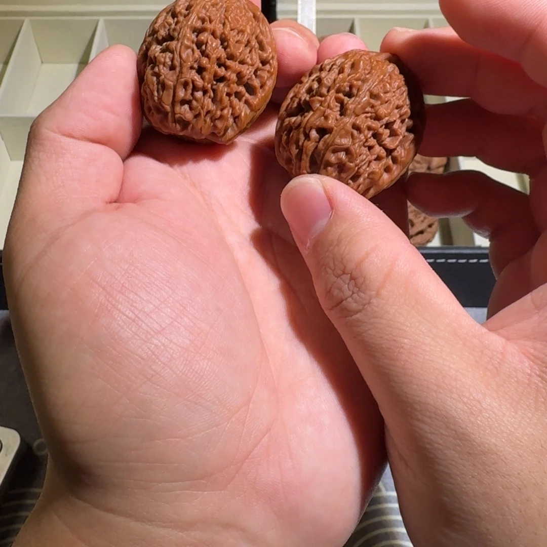 大叶紫檀（黑酸枝木类）