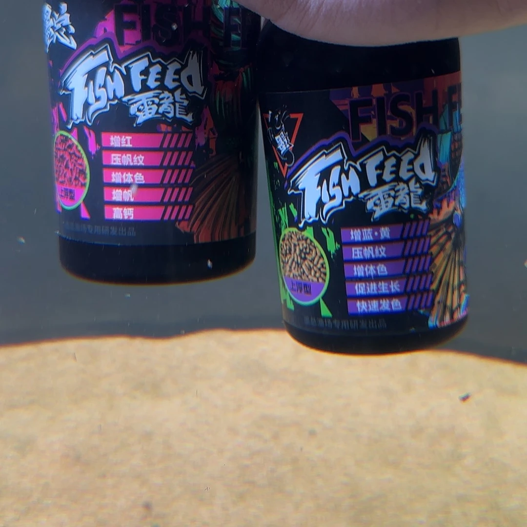 热带鱼公10111111