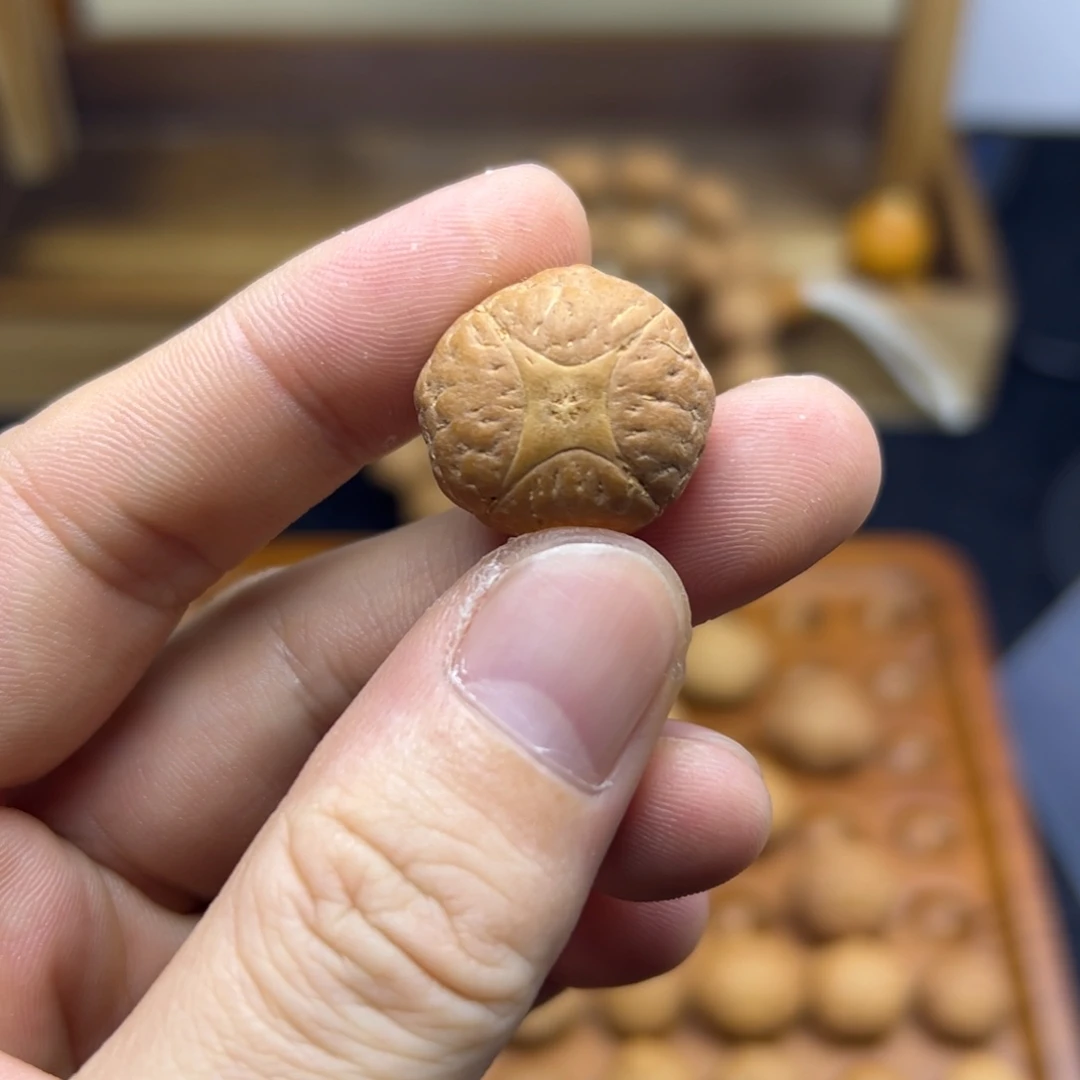 凤眼菩提手串21.7麒麟眼