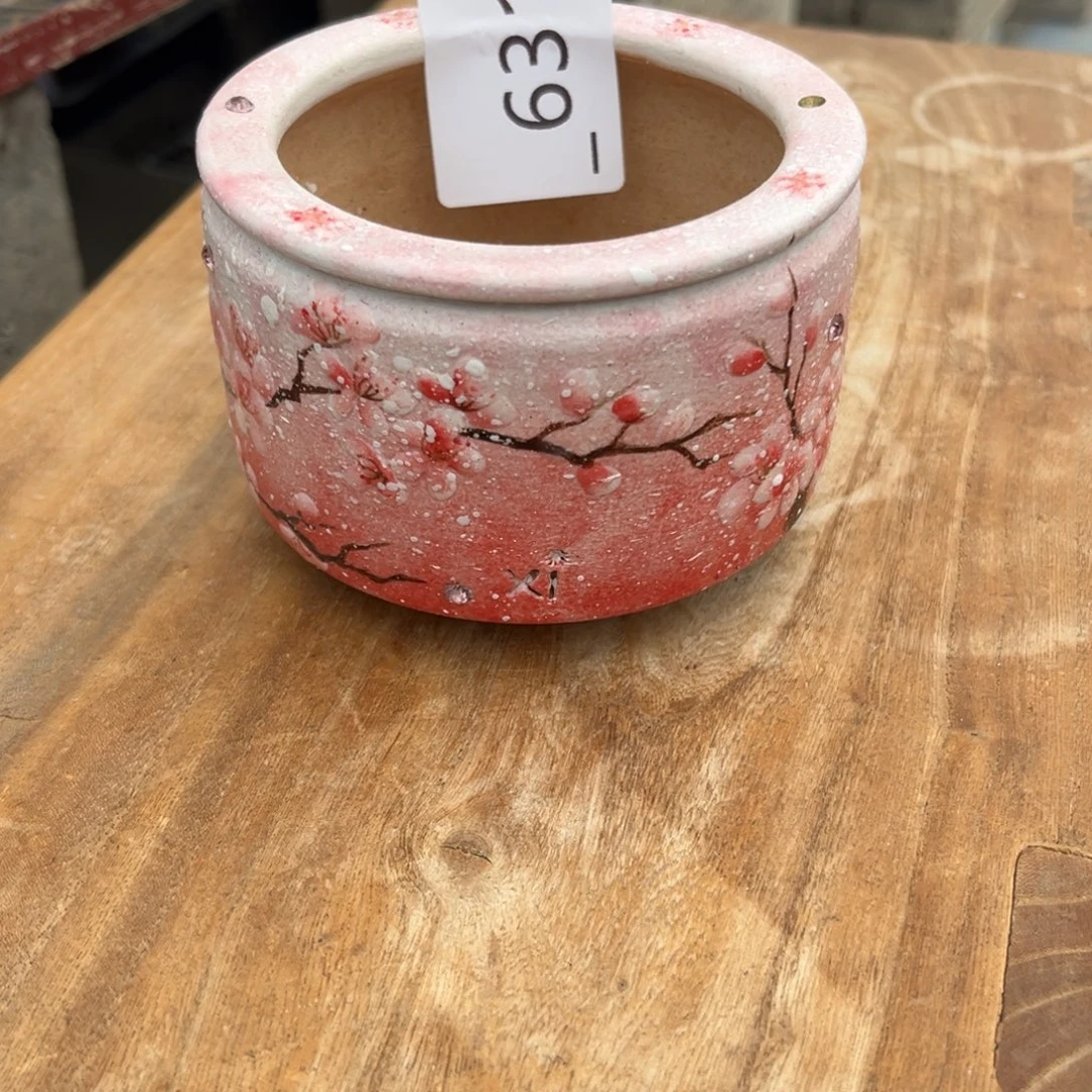 灵***灵631多肉花盆88元1个