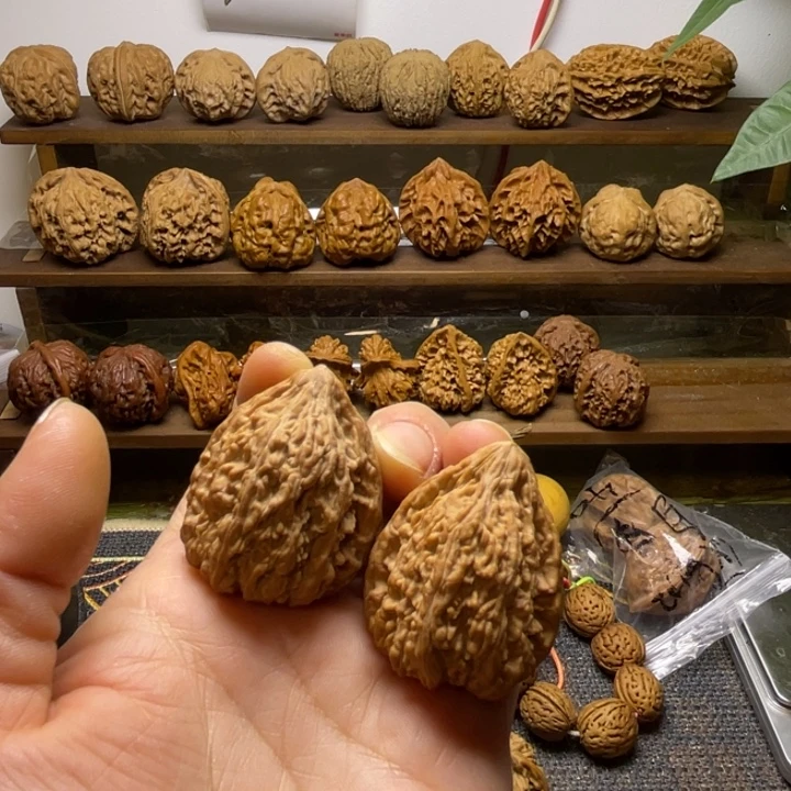 塔尖儿全品34.34.40