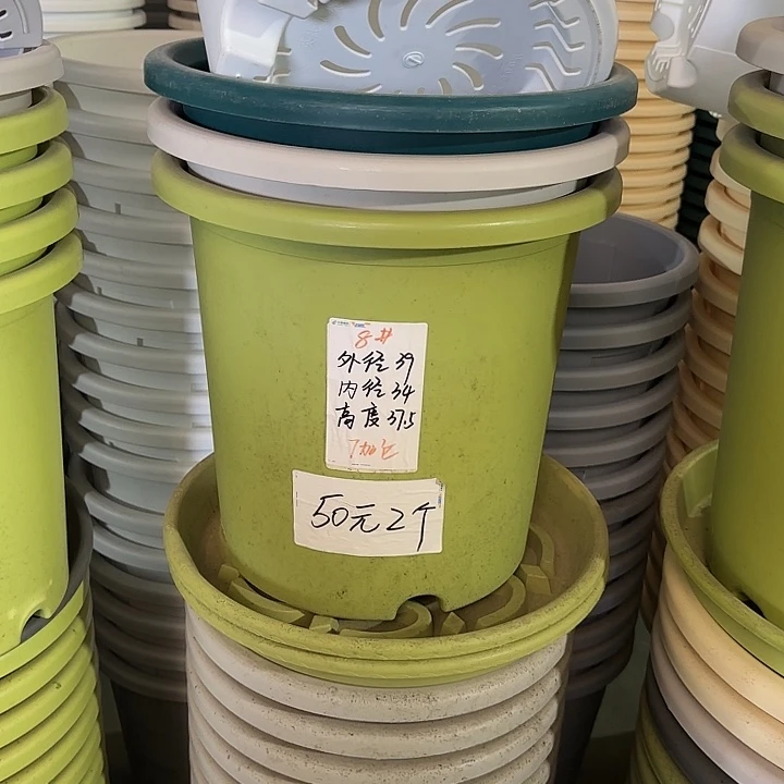 微瑕8#口径39无托果绿3个