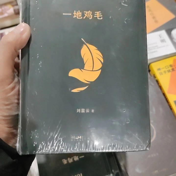 一地鸡毛一地鸡毛