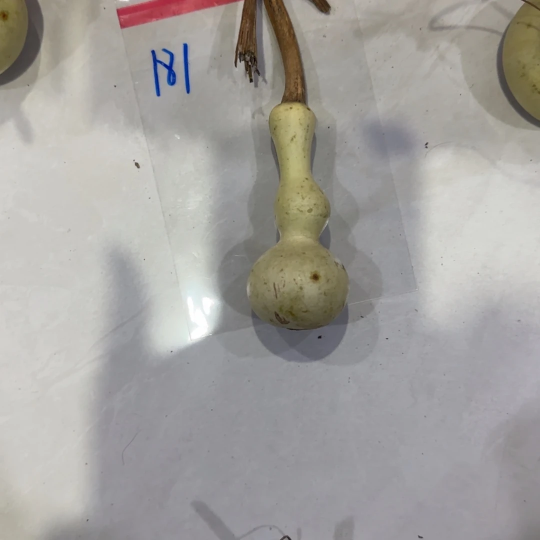 薛***生青皮不包成青皮不包成