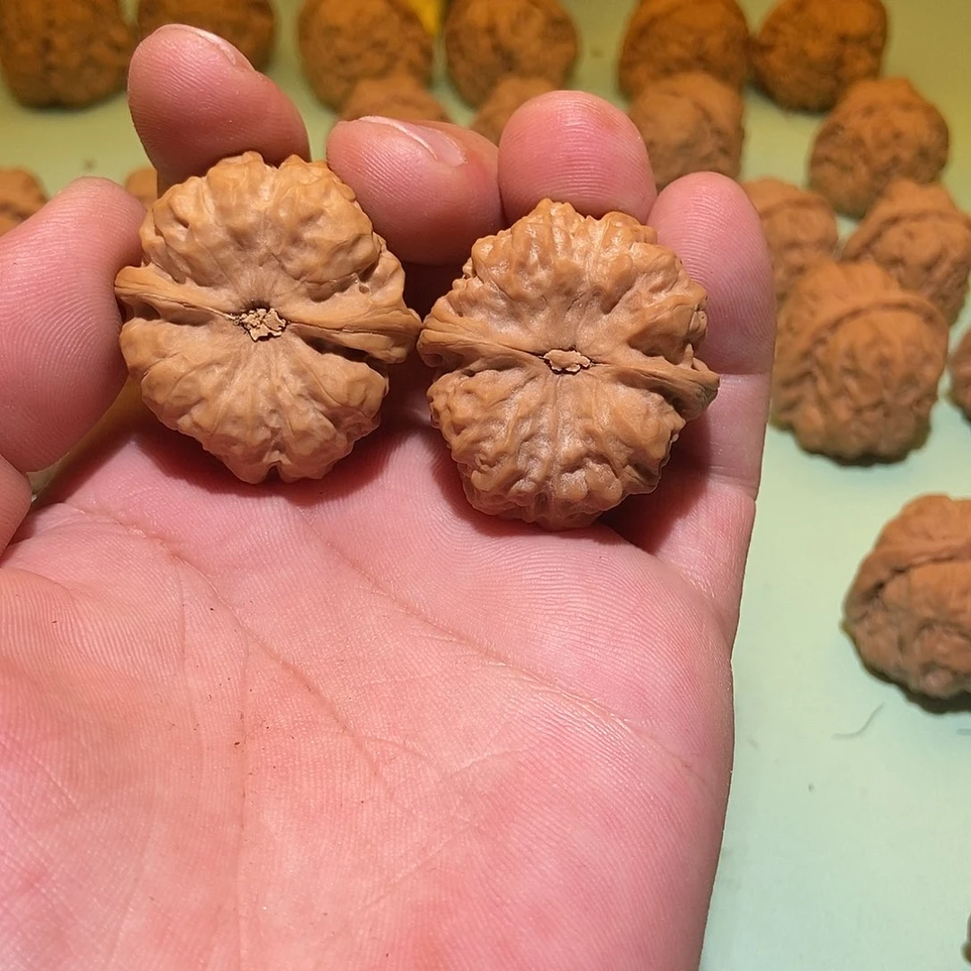 文玩核桃吊坠蛤蟆头35色差