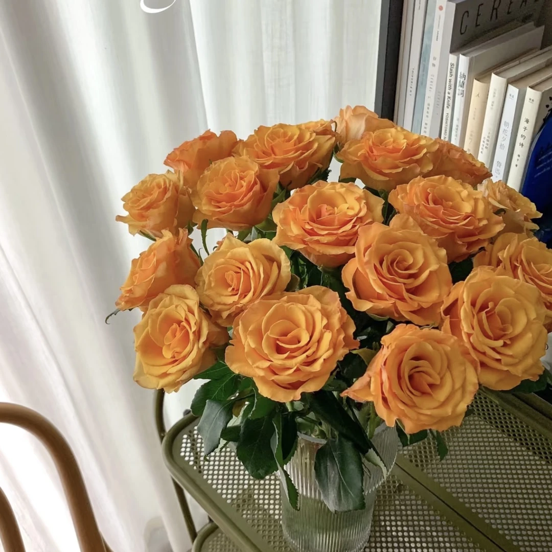 两单包邮！辉煌10支（20%不售后）