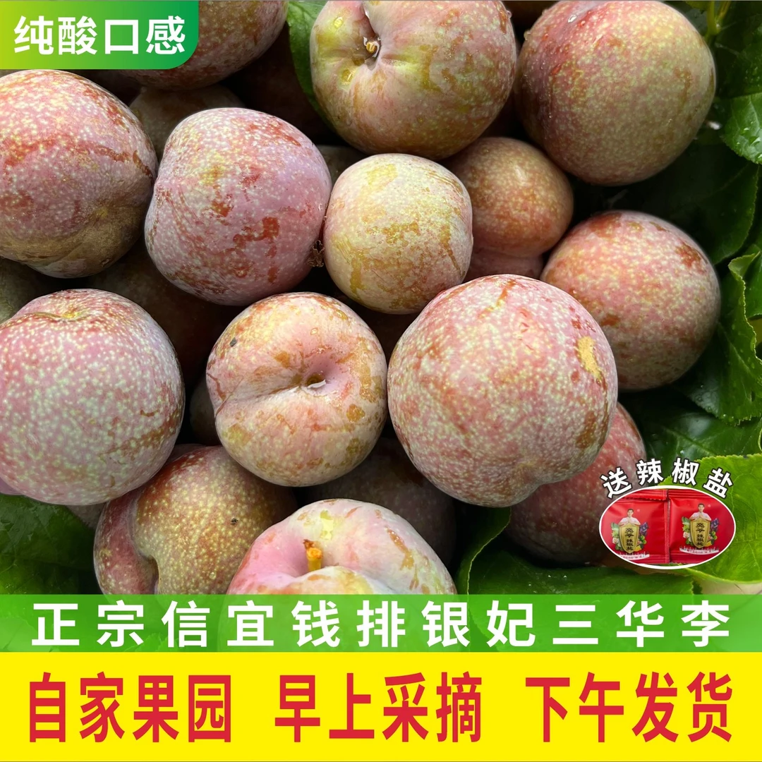 （头茬果）信宜钱排三华李红心李孕妇水果现摘现发1斤起包邮