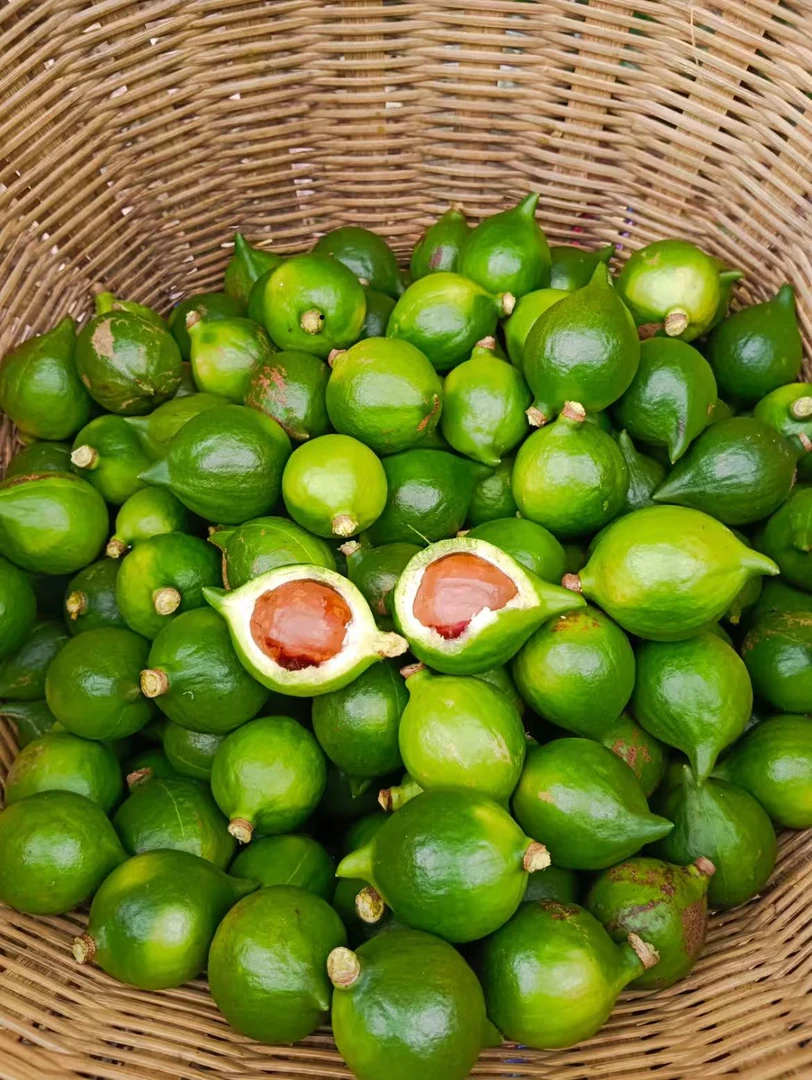 云南夏威夷果坚果（小坚果）