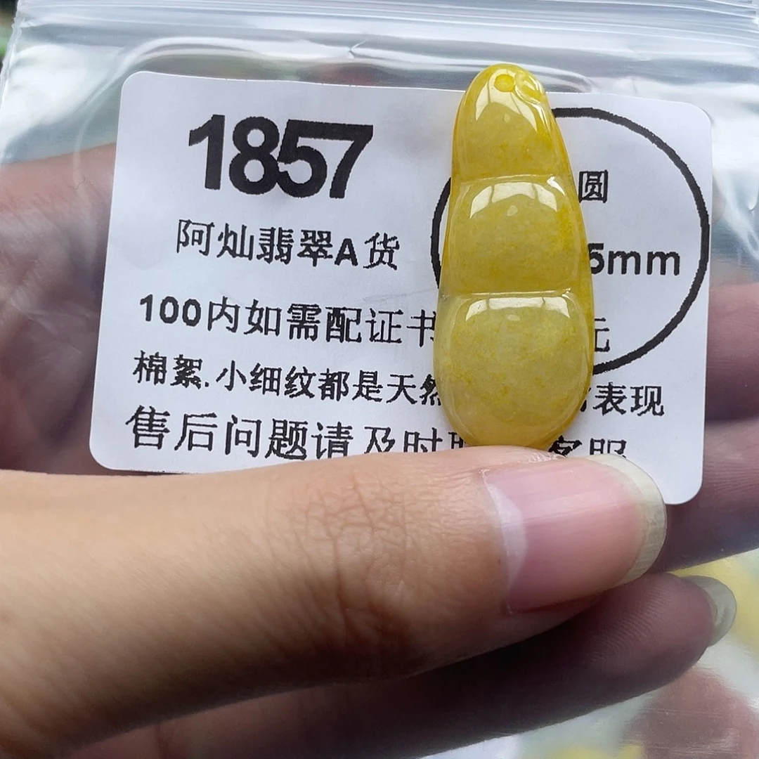 翡翠未镶嵌吊坠(赠链)