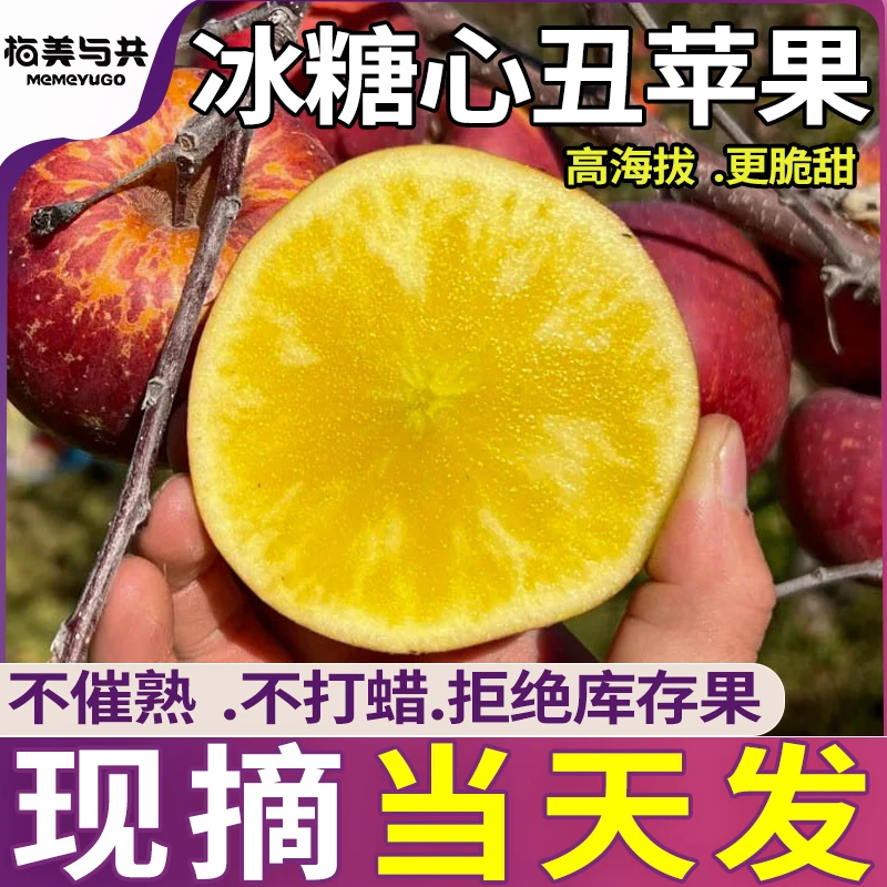云南高原宁蒗冰糖心丑苹果应季泸沽湖脆甜红富士小凉山野生萍果