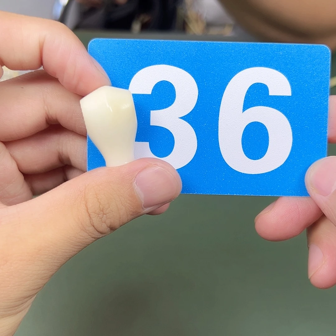 菩提根/象牙果吊坠鲨鱼背三通。 36