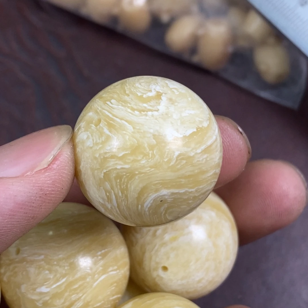 手串/手链驼骨2.5尺寸,68
