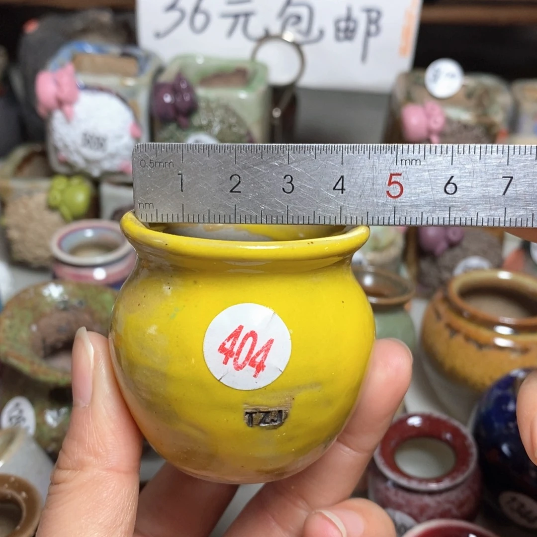 拍5送一个小礼物