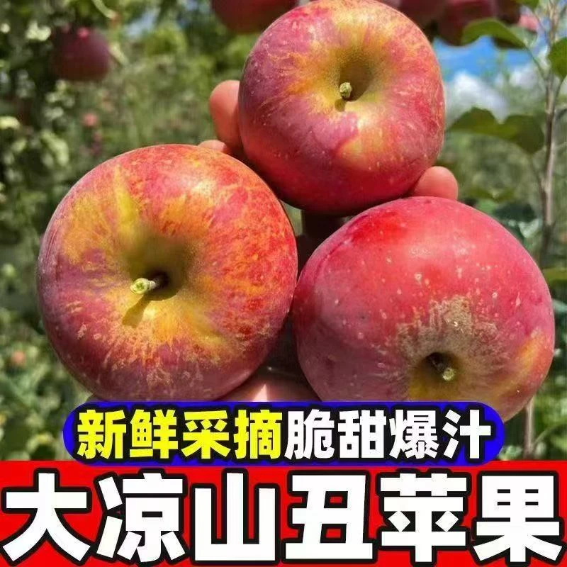 【丰收季Ⅲ】次日达大凉山盐源富士丑苹果现摘新鲜脆甜多汁苹果苹果四川省