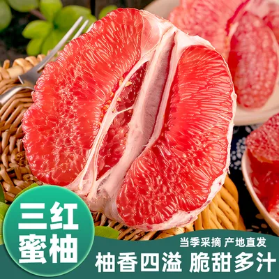 【26年头茬柚】平和琯溪老树三红蜜柚新鲜红肉柚子当季酸甜多汁
