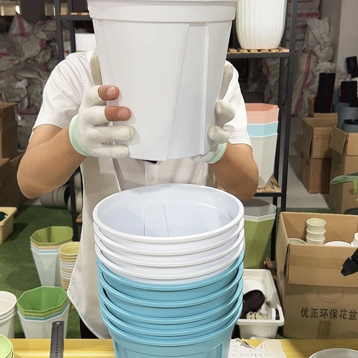 青山口21高21混色无托10个