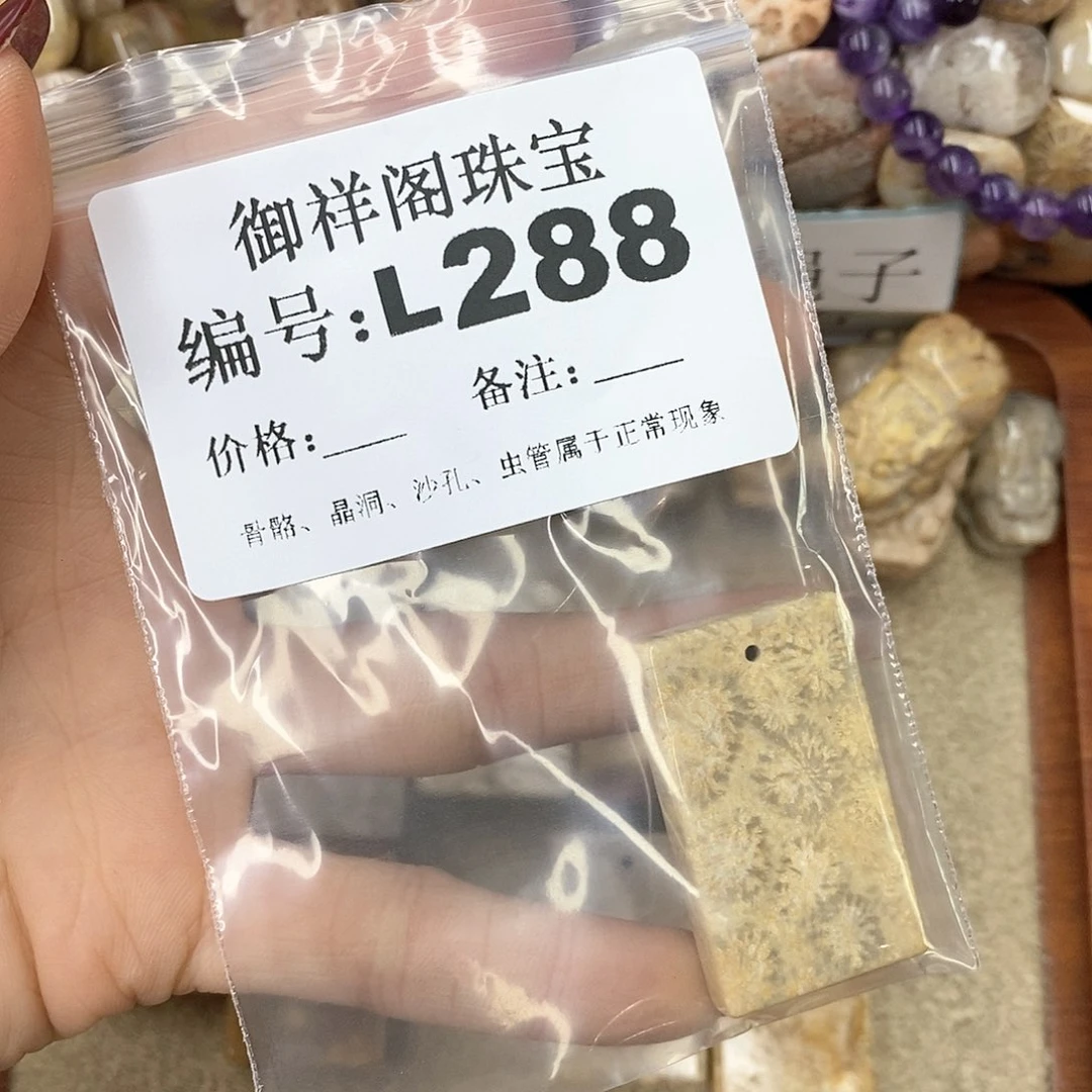硅化珊瑚（珊瑚玉）n未镶嵌L***理