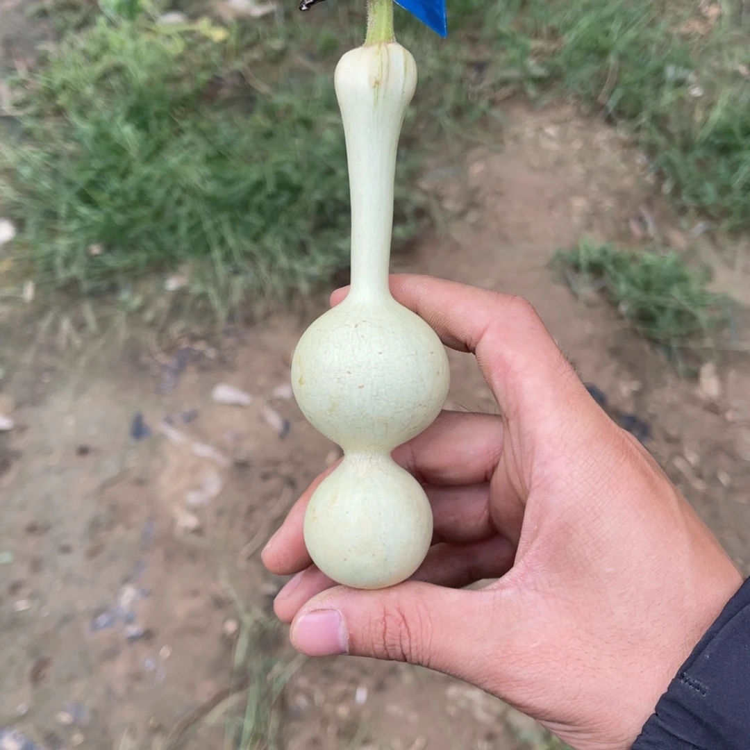 有机玻璃一个月下架