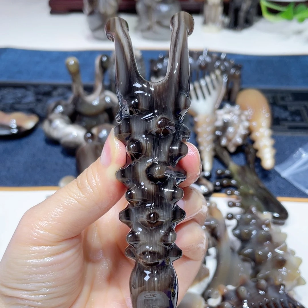 黑金刚大海参鼻刮