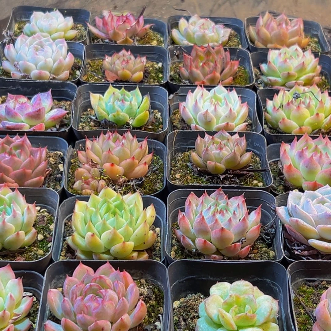 017的人在我这都不认识