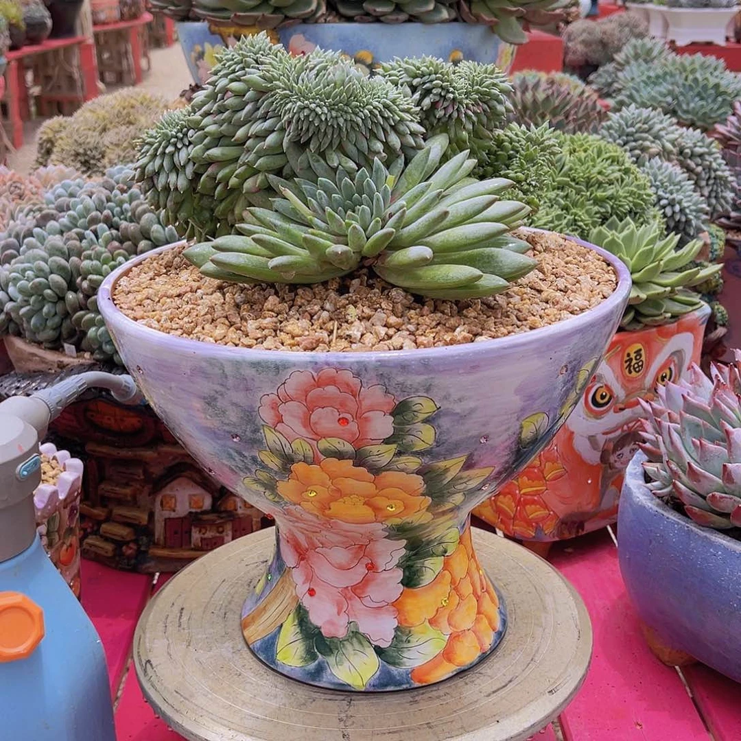 海*青花瓷花盆米海姐