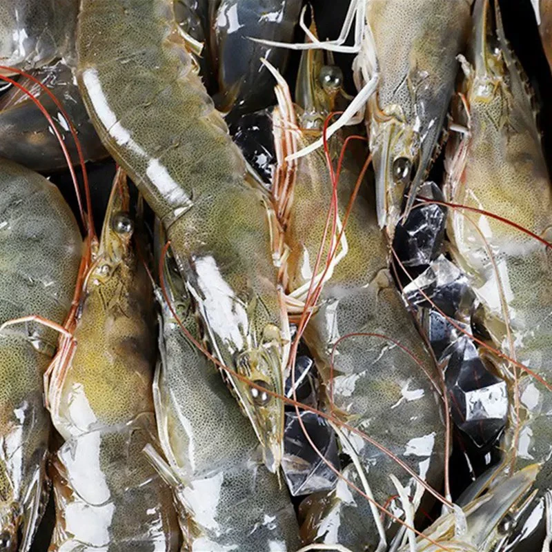 【稀缺】渤海湾野生对虾真空速冻发货1袋 去冰9两4到1斤