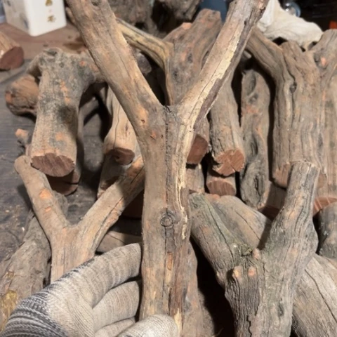 2***1大果紫檀（缅甸花梨）