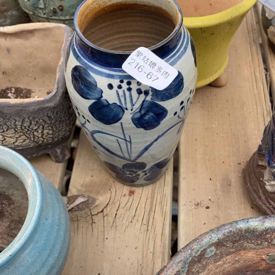 红陶烟*昧67号多肉盆一个呀