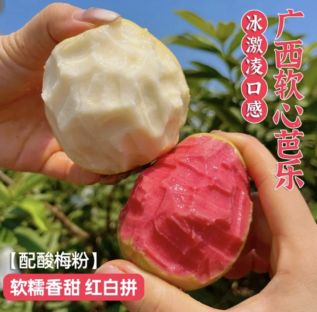 纯香果软心红心芭乐当季番石榴白芭乐树上熟新鲜水果混装低脂