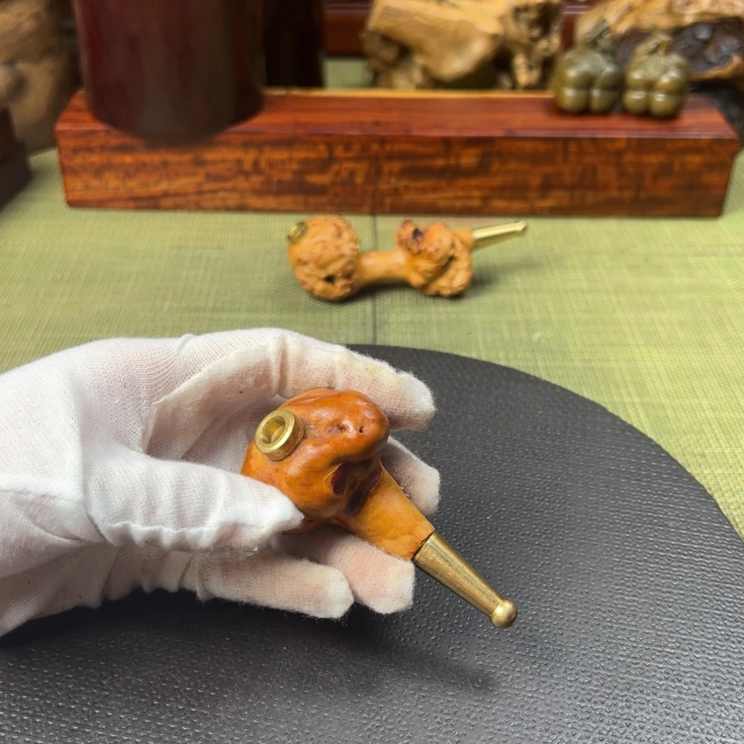 大果紫檀（缅甸花梨）炽*