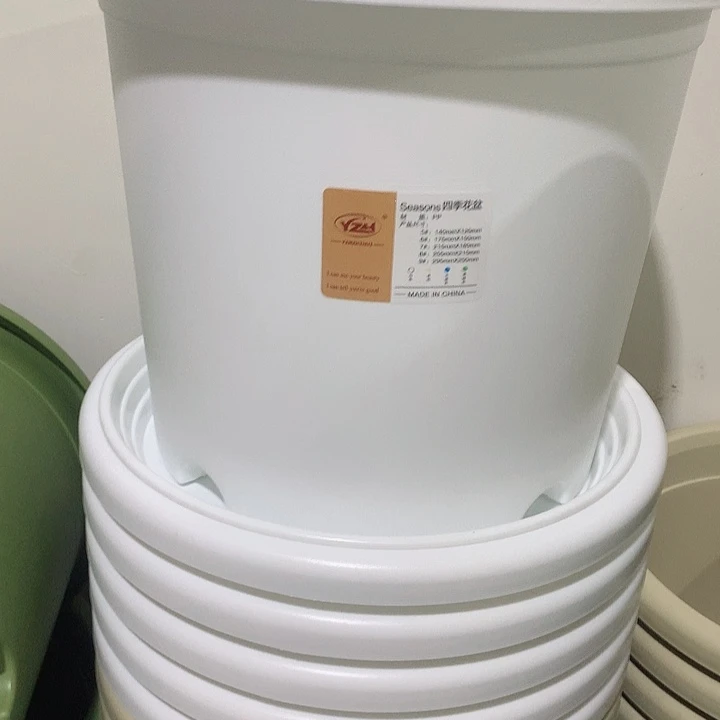 四季口29白5个无托