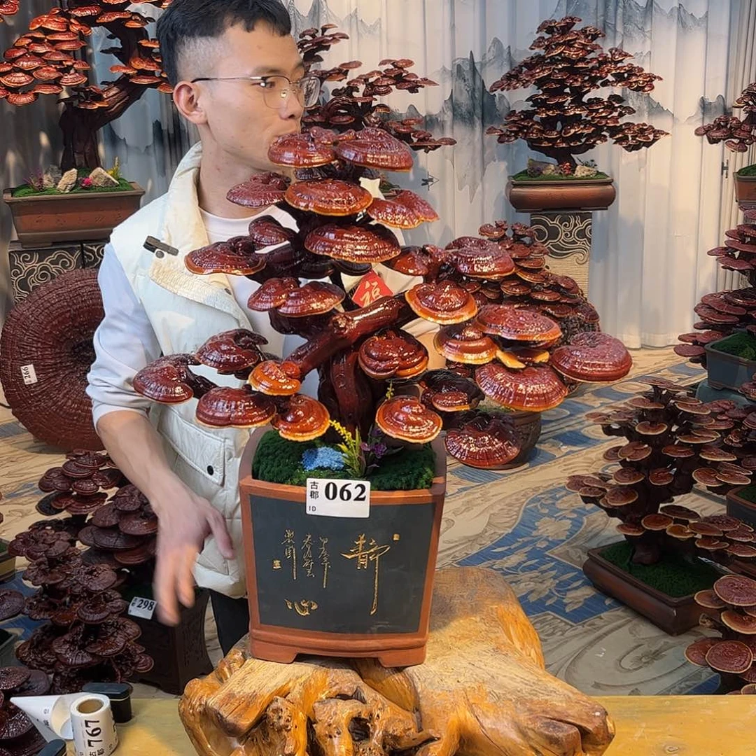 无花朵88888888888