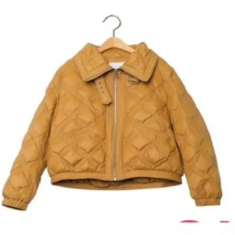 【达人专属】 领气质宽松外套女士女款8J891838X