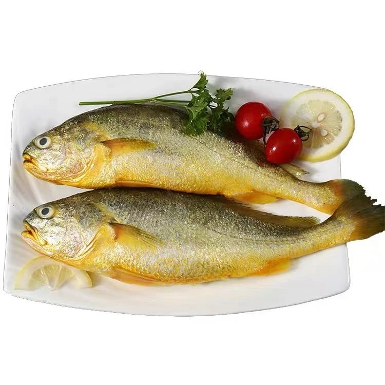 新鲜速冻深海大黄花鱼生鲜冷链发货