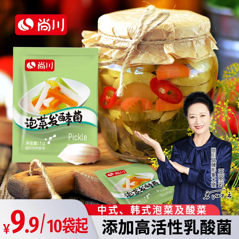 尚川泡菜食用乳酸菌粉自制东北酸菜腌酸豆角泡菜发酵菌