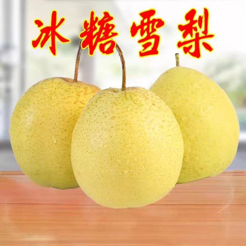 赵州赵县雪花梨绿色食品百年古树河北特产雪新鲜水果多汁