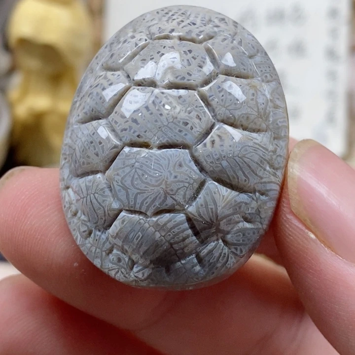 颈饰未镶嵌硅化珊瑚（珊瑚玉）